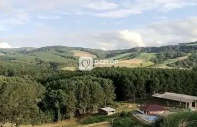 Sítio à venda em alfredo wagner - sc | nascente e açude no terreno