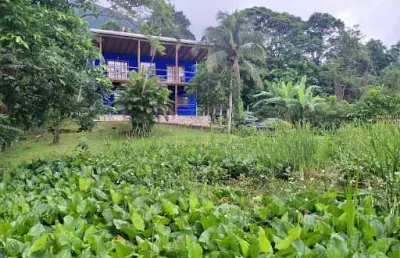 Casa com 3 dormitórios à venda, 110 m² por r$ 900.000,00 - praia de maresias - são sebastião/sp