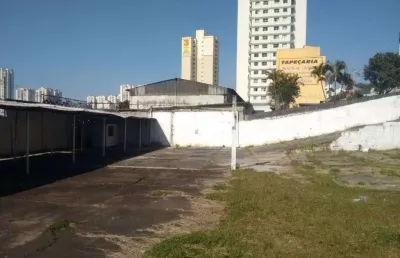 Terreno para aluguel, jardim três marias - são bernardo do campo/sp