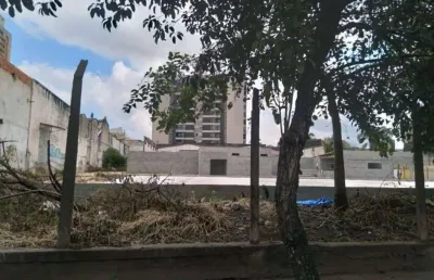 Terreno comercial para alugar na Rua Gil Vicente, Silveira, Santo André