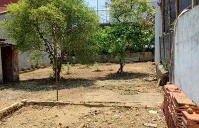 Terreno à venda, santa maria - são caetano do sul/sp