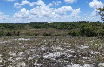 Terreno comercial ou posto combustível - 20.000m2 - linha verde - em porto de sauipe - entre rios - ba