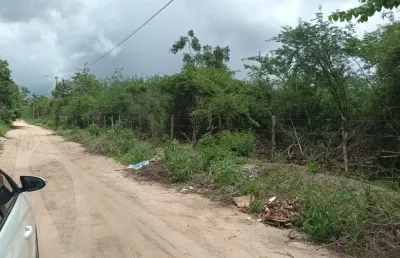 Terreno - para empreendimento no sim - feira de sanmtana, ba