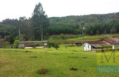 Sítio com 2 dormitórios à venda, 333960 m² por r$ 7.000.000,00 - areia branca - mandirituba/pr