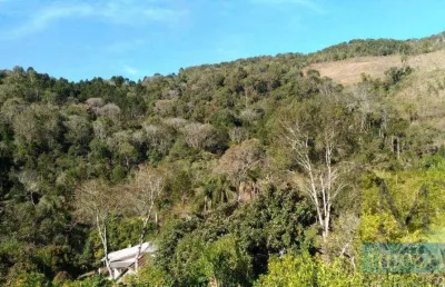 Fazenda à venda, 193600 m² por r$ 1.100.000,00 - zona rural - cruz machado/pr