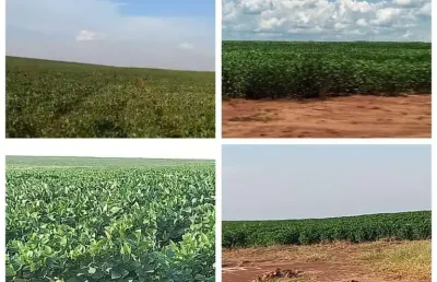 Fazenda à venda na Br-163, 222, Chácara das Mansões, Campo Grande