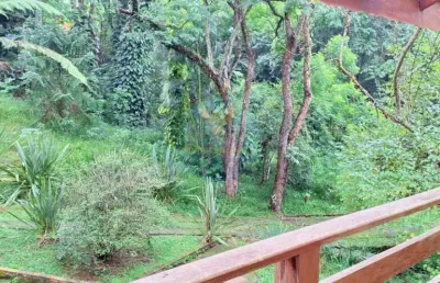 Casa em condomínio fechado com 3 quartos à venda na Rua do Pedregal, 230, Granja Viana, Embu das Artes