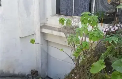 Casa térrea com 3 quartos à venda em aclimação - sp