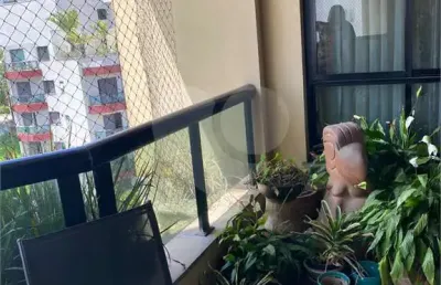 Apartamento com 4 quartos à venda em vila morumbi - sp