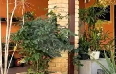 Condomínio com 3 quartos à venda em granja viana - sp
