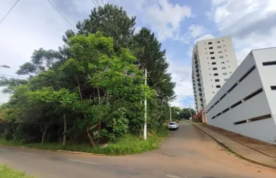 Terreno à venda na Rua Alberto Augusto Born, Santo André, São Leopoldo