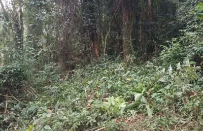 Chácara a venda recanto das maravilhas - araçariguama