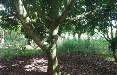 Terreno para venda em santana de parnaíba - cristal park iii