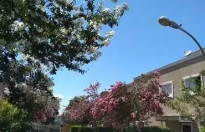 Casa a venda no condominio alvorecer no jardim california em barueri - sp