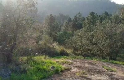 Terreno em condomínio fechado à venda na Estrada de Santo André, Sítio do Morro, Santana de Parnaíba
