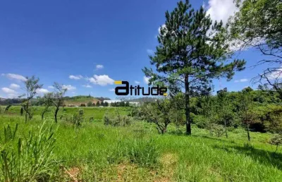 Area 145.000 industrial e logistica frente para rodovia castelo branco