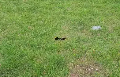 Terreno à venda na Rua Baquara, Colinas de Parnaíba I, Santana de Parnaíba