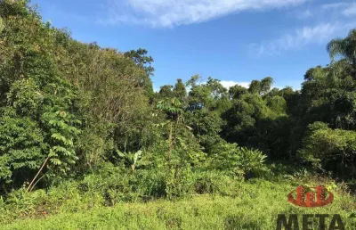 Terreno à venda, 1215 m² por r$ 1.500.000,00 - santo antônio - joinville/sc
