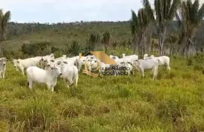 Fazenda à venda na rua rio bahia, mangabinha, itabuna por r$ 3.000.000
