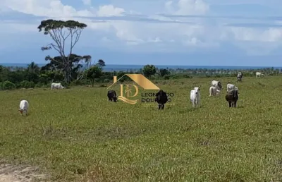 Fazenda à venda na mogiquiçaba, mogiquiçaba, santa cruz cabrália por r$ 4.000.000