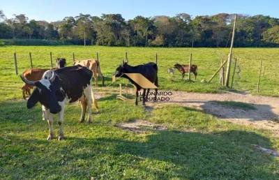 Fazenda com 3 salas à venda na porto seguro, centro, porto seguro, 84 m2 por r$ 2.800.000