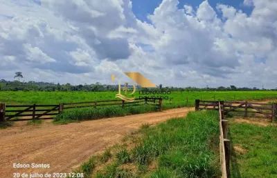Fazenda com 20 salas à venda na uruará, centro, uruará, 14800 m2 por r$ 150.000.000