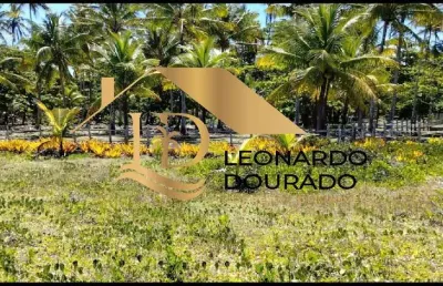 Casa com 1 quarto à venda na santo antônio, santo antônio, santa cruz cabrália, 20000 m2 por r$ 6.200.000