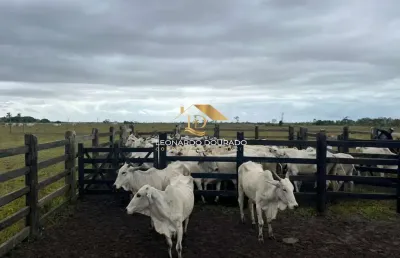 Fazenda com 1 sala à venda na belmonte, zona rural, belmonte, 520 m2 por r$ 9.000.000