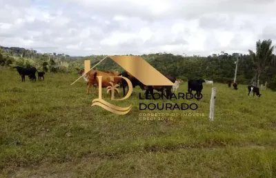 Fazenda à venda na area rural, zona rural, santa cruz cabrália, 30 m2 por r$ 500.000