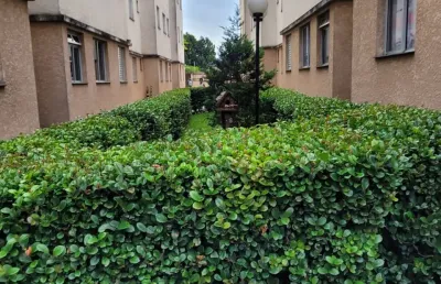 Apartamento com 2 quartos à venda na Rua Benedicto de Souza Branco, Jundiapeba, Mogi das Cruzes