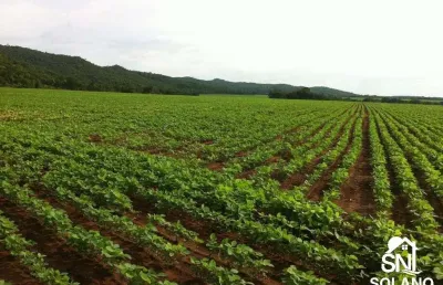 Fazenda com 2 salas à venda na Avenida Principal, 1426, Centro, Nobres