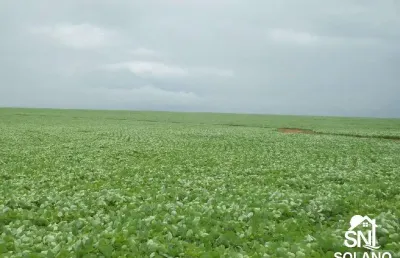 Fazenda com 2 salas à venda na Av Principal, SN, Zona Rural, Santana do Araguaia