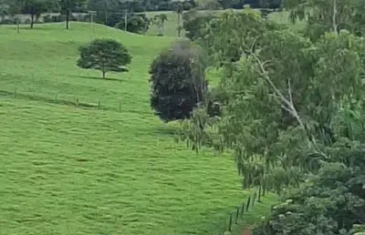 Fazenda 2.105,40 hectares (435 alqueires) a 220 km de goiânia é próximo a rio verde.