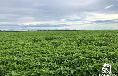 Ótima fazenda à venda na região de confresa-mt. cidades próximas  santa terezinha, vila rica, porto alegre do norte.