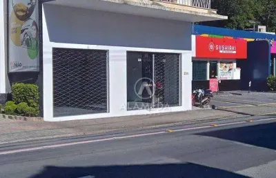 Sala para alugar, 260 m² por r$ 5.949,89/mês - centro (blumenau) - blumenau/sc