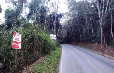 Terreno à venda na Do Vinho, Centro (Canguera), São Roque