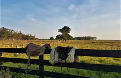 Fazenda para criação de gado, plantação de soja e arroz