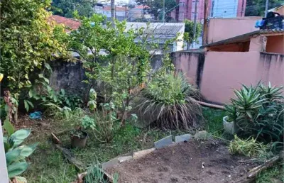 Campo grande é considerado uma das melhores regiões de são paulo para se viver bem.