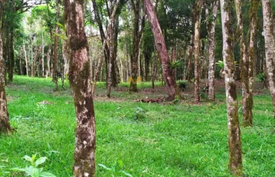 Chácara à venda no recreio da serra em piraquara!!!