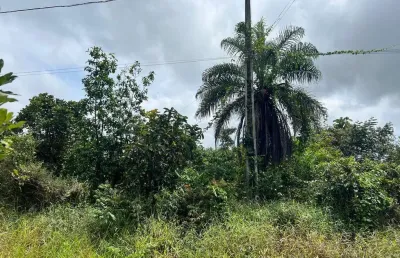 Terreno à venda, florada da serra, chapada dos guimarães, mt