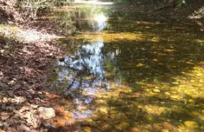 Chácara para venda e locação, coxipo do ouro, coxipó do ouro, mt