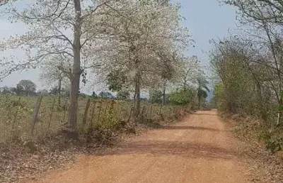 Chácara / sítio com 8 quartos à venda na Rua 13 De Junho, Centro, Cáceres