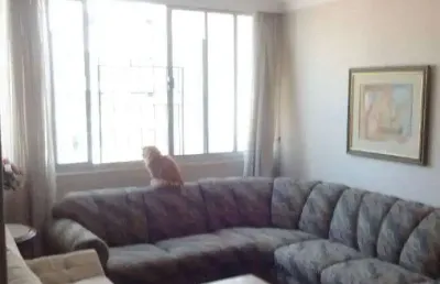 Apartamento à venda no bairro pinheiros - são paulo/sp, zona oeste