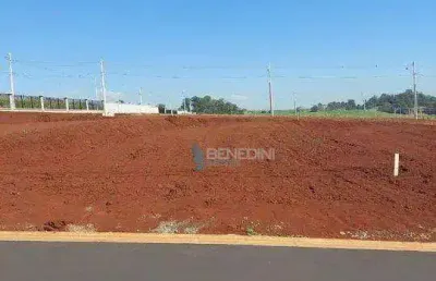 Terreno à venda, 308 m² por r$ 340.000,00 - residencial alto do castelo - ribeirão preto/sp