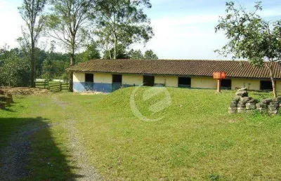 Chácara à venda, 10000 m² por r$ 800.000,00 - parque das garças - santo andré/sp