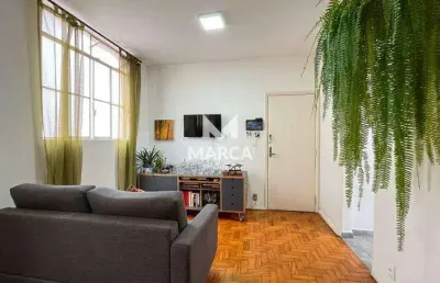 Apartamento à venda, 2 quartos, santo antônio - belo horizonte/mg