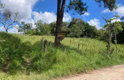 Terreno à venda no Jardim das Lavras, Suzano 