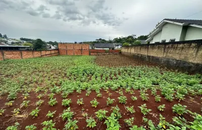 Terreno à venda no São Francisco, Pato Branco 