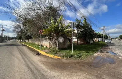 Terreno comercial para alugar na Rua Bem-te-vi, S n, Juscelino Kubitschek, Santa Maria