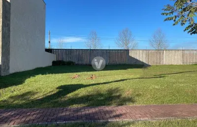Terreno em condomínio fechado à venda na Rua César Trevisan, 1043, Tomazetti, Santa Maria